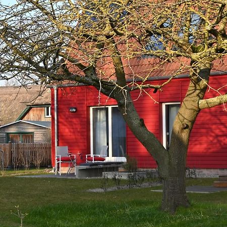 Ferienwohnung Rote Kate Борн Экстерьер фото